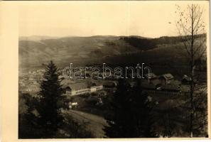 Paltinis (Suceava), general view. photo (non PC) (ragasztónyom / glue marks)