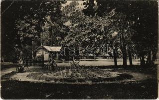 1915 Szamosújvár, Gherla; Sétatéri tó részlete. Todorán E. kiadása / park, lake (EB)