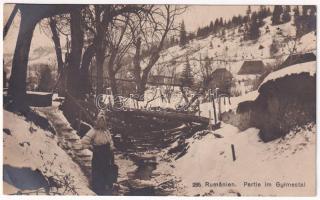 1917 Gyimes, Ghimes; Gyimes patak völgye, csángó asszony télen / valley, Ceangaii folklore, winter (EK)