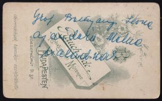 cca 1910 Női portré, hátoldalon feliratozott "Gróf Batthyány Ilona ajándéka", keményhátú f...