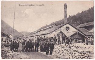 Terebesfejérpatak, Terebes (Trebusa), Dilova, Dilove (Máramaros); Üveggyár / glass factory