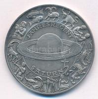 Ausztria 1979. "Naptár" ezüstözött bronz naptár érem (40mm) T:AU 
Austria 1979. "Cal...