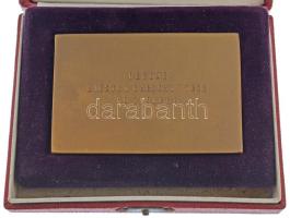 Csehszlovákia 1960. "Zólyomi vár / Zólyomi helyi bizottságnak" bronz plakett eredeti tokba...