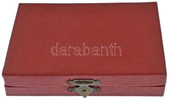 Csehszlovákia 1960. "Zólyomi vár / Zólyomi helyi bizottságnak" bronz plakett eredeti tokba...