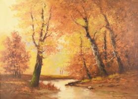 Szentgály jelzéssel, 1920-40 körül: Őszi erdő. Olaj, vászon. Dekoratív, kissé sérült fakeretben. 60x...