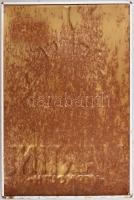 Martini dombor fém reklám tábla 40x60 cm kis korrózióval