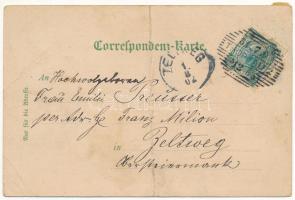 1902 Opava, Troppau; Neuerbaute Troppauer Sparkassa / savings bank. Art Nouveau, floral (fa)