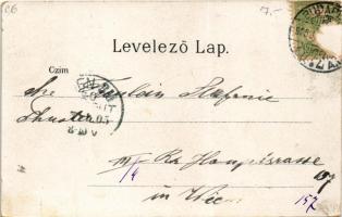 1905 Budapest XIV. Városliget, Vajdahunyad vára. litho (EK)