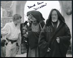 David Stone amerikai színész autográf aláírása, az eredeti Csillagok háborúja (Star Wars) film jelenetét ábrázoló fotónyomaton, tanúsítvánnyal, 25x20 cm. (Stone a film Wioslea nevű karakterét játszotta, emellett különböző szerepekben feltűnt a trilógia következő két részében is (A Birodalom visszavág, ill. A Jedi visszatér), azonban a filmek hivatalos stáblistáiban nem tüntették fel.) / Autograph signature of David Stone American actor, on a photo depicting a scene from the original Star Wars movie, with certificate, 25x20 cm. (Stone played the character Wioslea, and also appeared in different roles in the next two films of the trilogy (The Empire Strikes Back, and Return of the Jedi), but was not officially credited for any of his roles.)