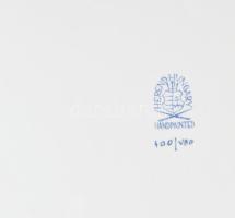 Herendi Viktória mintás szalagos tet a tet tálca, jelzett, hibátlan, 40x28 cm