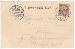 Orsova, Széchenyi út, Trajan Gamber üzlete. Raichl Sándor Junior kiadása / street, shop