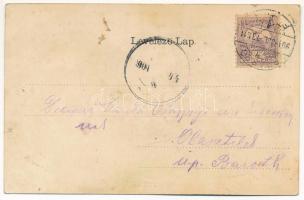 1901 Brassó, Kronstadt, Brasov; Lövölde, Árokmenti kirándulási hely, vendéglő, bor és sörcsarnok / S...