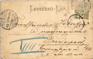 1902 Pécska, Magyarpécska, Pecica; Szt. János tér, Holzeisen József üzlete és saját kiadása / square...