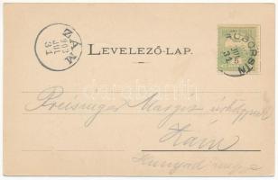 1903 Soborsin, Savarsin; Seidner villa, utca. Ifj. Roth Bernát kiadása / villa, street