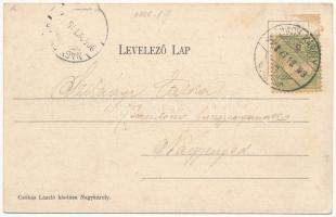 1905 Nagykároly, Carei; utca, Rubletzky Ignác, May Ede, Klein József, Pucser Károly és Varecska üzle...