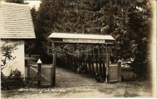 Korond, Baile Corund; gyógy-fürdő bejárata, park. Kovács István fényképész / spa entry. photo (fl)