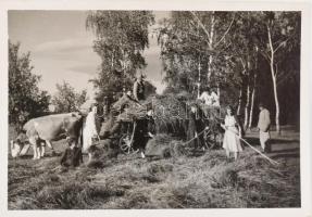 1948 Magyarszecsőd, egy kirándulás képei, 32 db fotó, közte 4 db sérült, 6×9 cm