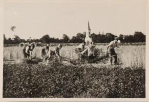 1948 Magyarszecsőd, egy kirándulás képei, 32 db fotó, közte 4 db sérült, 6×9 cm