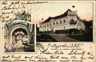 1905 Laskov, Laschkau; Zámek, Knihovna / Schloss, Bibliothek / castle, library. Art Nouveau, floral (holes)