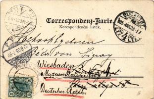 1905 Laskov, Laschkau; Zámek, Knihovna / Schloss, Bibliothek / castle, library. Art Nouveau, floral ...