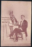 1928 Arad, Lorenz Stutzbart és Rin-Tin-Tin, reklámlap