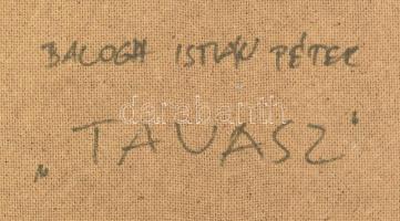 Balogh István Péter (1950-): Tavasz. Olaj, farost, jelzett, hátoldalán autográf felirattal, 30×40 cm