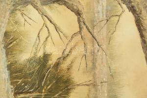 Radnai Zoltán (1960-): Táj. Olaj, farost, jelezve jobbra lent, fakeretben, 40×30 cm