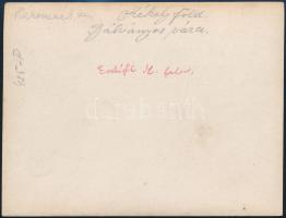 cca 1910 Székelyföld, Bálványos vára, Erdélyi Mór felvétele, hátulján feliratozva, 11,5×16 cm / cca ...