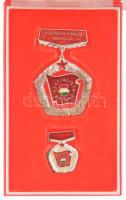 ~1970-1980. "Szocialista Brigád - A Szakma Kiváló Brigádja" műgyantás fém kitüntető jelvény miniatűrrel, kissé sérült eredeti tokban T:AU