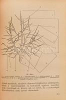 Mohácsy Mátyás - Porpáczy Aladár: A körte termesztése és nemesítése. Függelékben: A birs termesztése...