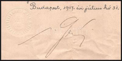 1917 Kinevezés Serényi Béla kereskedelemügyi miniszter saját kezű aláírásával