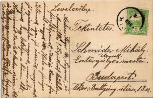 1909 Lipik, fürdő szálloda kertje / garden of the spa hotel. photo