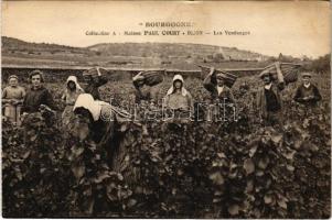 Dijon, Bourgogne, Les Vendanges / grape harvest, French folklore (EK)