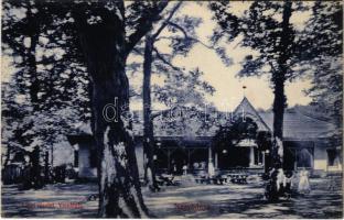 1912 Nagybánya, Baia Mare; Liget részlet és vendéglő, étterem. Steinfeld Móritz és kiadása / park restaurant (fl)