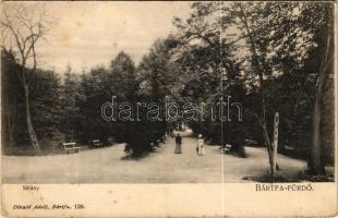 1909 Bártfa, Bártfafürdő, Bardejovské Kúpele, Bardiov, Bardejov; Sétány. Divald Adolf 126. / promenade, spa (fl)