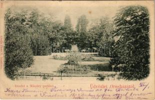 1899 (Vorläufer) Orosháza, Mikolay park. Pless N. kiadása (kis szakadás / small tear)