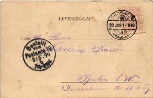 1899 (Vorläufer) Orosháza, Mikolay park. Pless N. kiadása (kis szakadás / small tear)