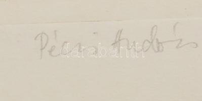 Pécsi András: Öreg vadász. Színezett rézkarc, papír, jelzett, sorszámozott 33×28 cm