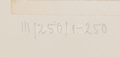 Pécsi András: Öreg vadász. Színezett rézkarc, papír, jelzett, sorszámozott 33×28 cm