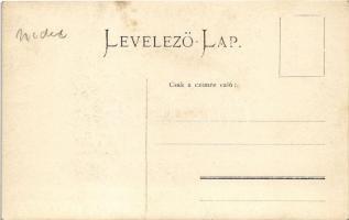 Nedec, Niedzica (mai Lengyelország, Magas-Tátra); Nedecz vár / Schloss Nedecz / Zamek Nedzica / cast...