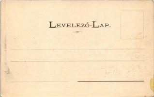 Trencsén, Trencín; vár. Wertheim Zsigmond kiadása / Trenciansky hrad / castle (fl)