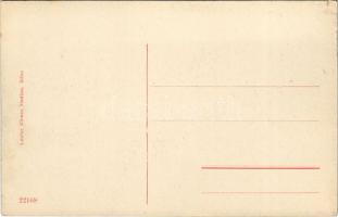 Déva, vár, Dávid Ferenc emlékfülke. Laufer Vilmos kiadása / castle ruins, monument (kis szakadás / s...