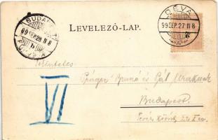 1899 (Vorläufer) Déva, vár, látkép. Hirsch Adolf kiadása / castle, general view