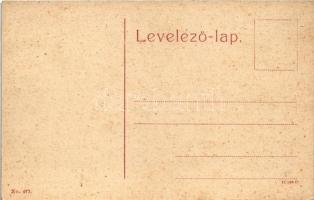 Vajdahunyad, Hunedoara; Vajda-Hunyad vára. W.L. (?) No. 477. / castle