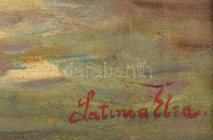 Latinka Elza (1895-1947), Nagybányán is tanult: Erdei fények. Olaj, vászon, jelezve jobbra lent. Hát...
