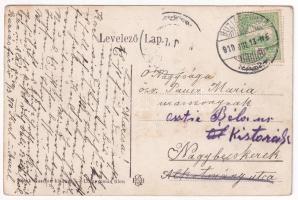 1910 Buziás-fürdő, Baile Buzias; Szent Antal csodakút és tó, Nosek Gusztáv fűszerkereskedés reklámja...