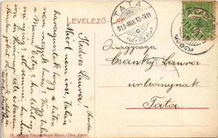 1910 Tatabánya, bánya látképe, függő sínpálya, iparvsút