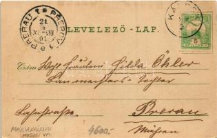 1901 Máriakálnok, Kálnok (Magyaróvár, Mosonmagyaróvár); Kálnoki rév, kompátkelő hely. A. Kumpf kiadá...