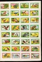 Kb 800 darabos kínai gyufacímke gyűjtemény albumban szépen rendezve / Collection of around 800 Chinese match labels
