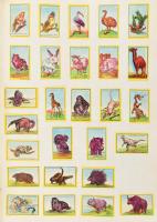 Kb 800 darabos kínai gyufacímke gyűjtemény albumban szépen rendezve / Collection of around 800 Chine...